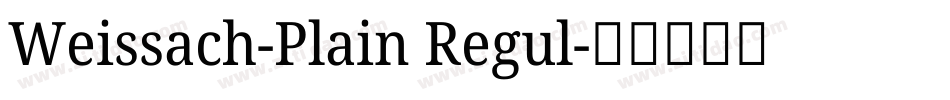 Weissach-Plain Regul字体转换